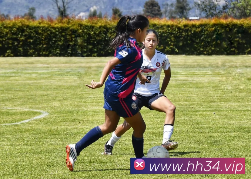 App Interface Preview